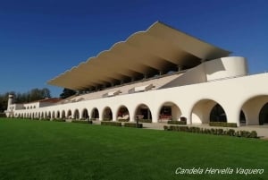 Экскурсия по ипподрому Сарсуэла в Мадриде