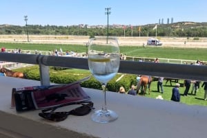 Экскурсия по ипподрому Сарсуэла в Мадриде