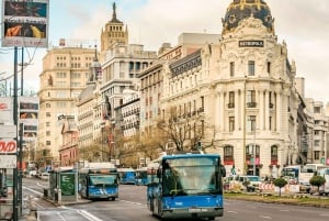 Best of Madrid: Private Walking Tour with a Local