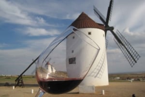 Windmills of Don Quixote Wine Tour from Madrid