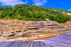 Tour Vinos y Naturaleza: Ribera del Duero y La Rioja desde Madrid (3 días)