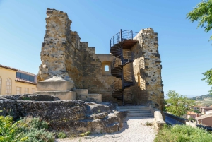 Tour Vinos y Naturaleza: Ribera del Duero y La Rioja desde Madrid (3 días)