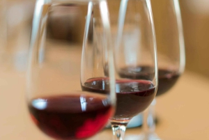 Vin- og oljesmaking i Madrid: Spanias beste viner og tapas