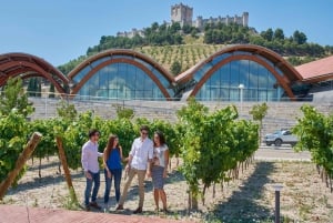 Madrid: Ribera del Duero & Rueda Red and White Wine Tour