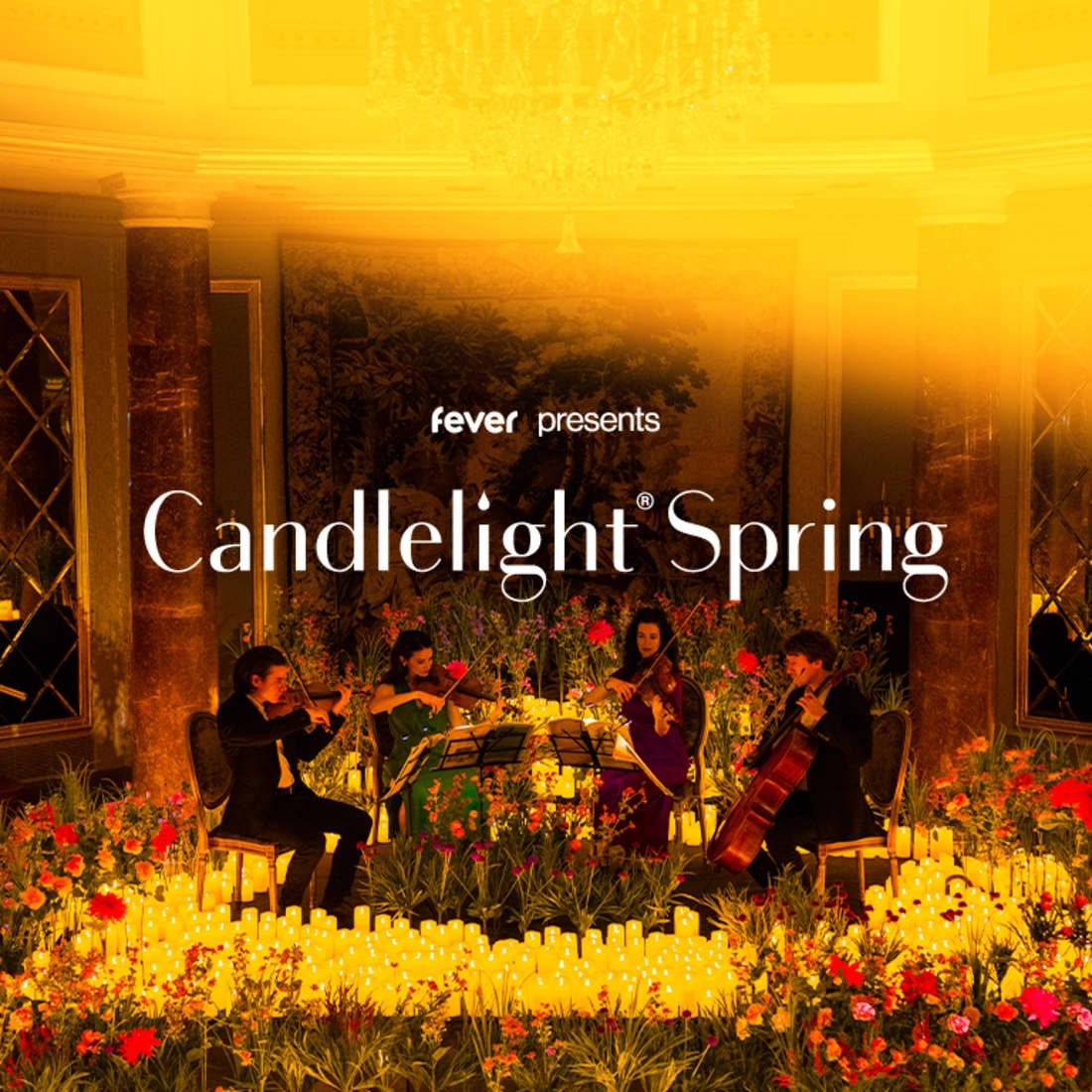 Candlelight Spring: Ed Sheeran vs. Coldplay