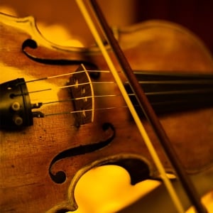 Candlelight: The Four Seasons by Vivaldi