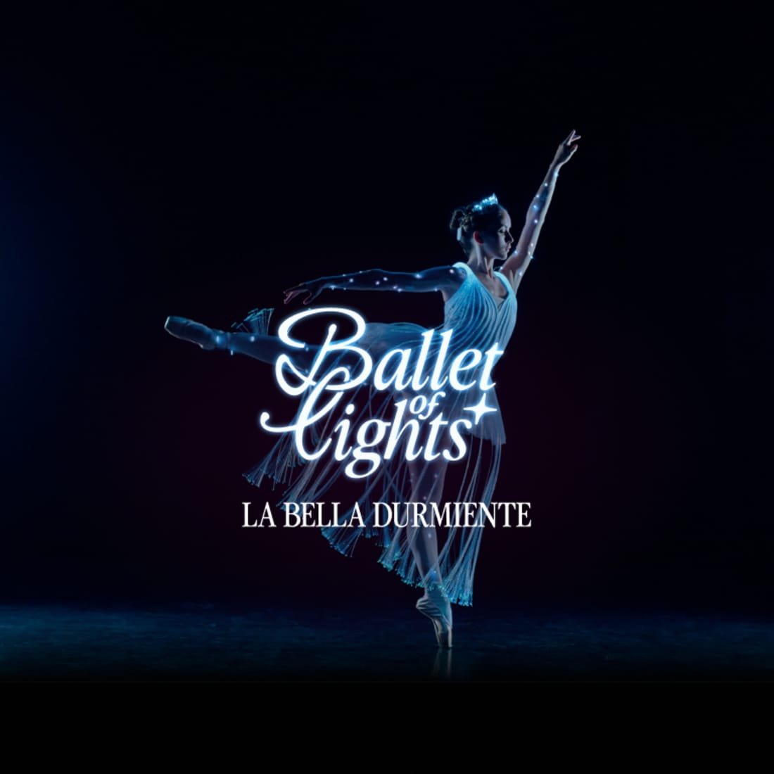 We call it Ballet: Dance and Light Show of Sleeping Beauty