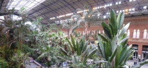 Atocha Train station