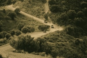 2 hour Buggy Tour through the hills and mountains of Mijas