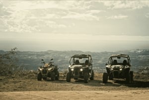 2 hour Buggy Tour through the hills and mountains of Mijas