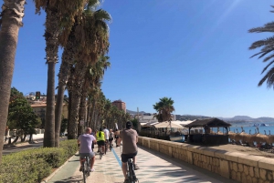 2-Hour Electric Bike Tour in Malaga