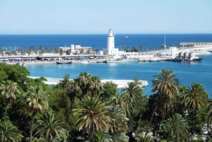2-Hour Electric Bike Tour in Malaga