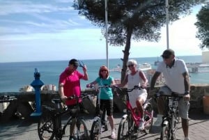 Malaga : visite guidée de 2 heures des principaux sites de la ville en vélo électrique