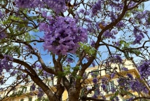 45 minutes flamenco dance class for family in Málaga