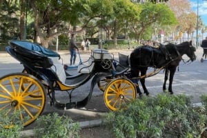 Une promenade à Malaga : L'histoire de l'ancienne ville - Visite guidée audio