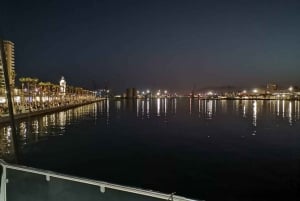 Malaga: A Sea of Stars Nighttime Stargazing Catamaran Tour