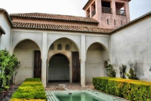 Visite privée de l'Alcazaba et de Gibralfaro. Coupe-file