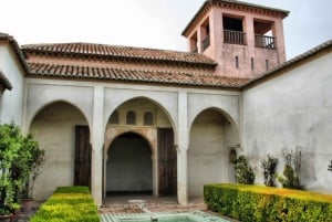 Privat tur til Alcazaba og Gibralfaro. Spring køen over