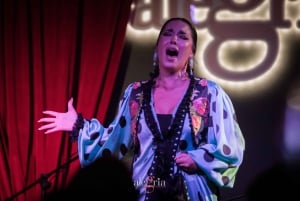 Alegría Flamenco in Malaga, met transfer, cocktail en eersteklas locatie
