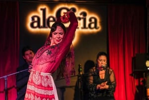 Alegría Flamenco in Malaga, met transfer, cocktail en eersteklas locatie