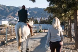 Andalucia: Horse Riding Tour with Picnic