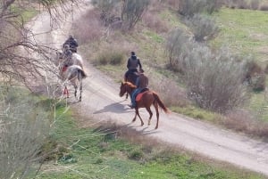 Andalucia: Horse Riding Tour with Picnic