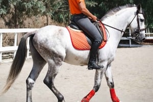 Andalucia: Horse Riding Tour with Picnic