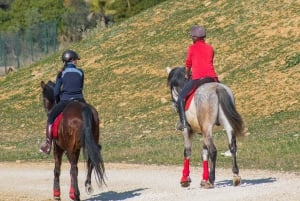 Andalucia: Horse Riding Tour with Picnic