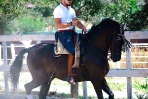 Andalucia: Horse Riding Tour with Picnic