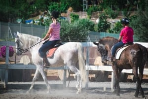 Andalucia: Horse Riding Tour with Picnic