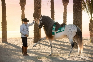 Andalusian Horse and Flamenco Show in Malaga