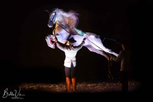 Málaga: Andalusian Horse Show with Flamenco Music