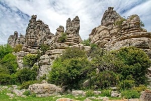 Antequeras gamla stad och El Torcal-upplevelsen från Málaga