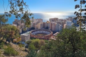 Audioguide City Walk Malaga for cruises (German & English)