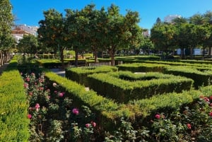 Audioguide City Walk Malaga for cruises (German & English)