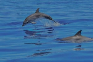 Benalmadena: Aluguel de barcos em Málaga por horas