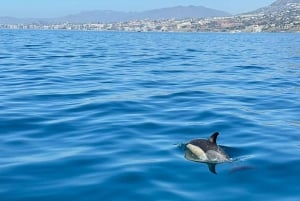 Benalmadena: Aluguel de barcos em Málaga por horas