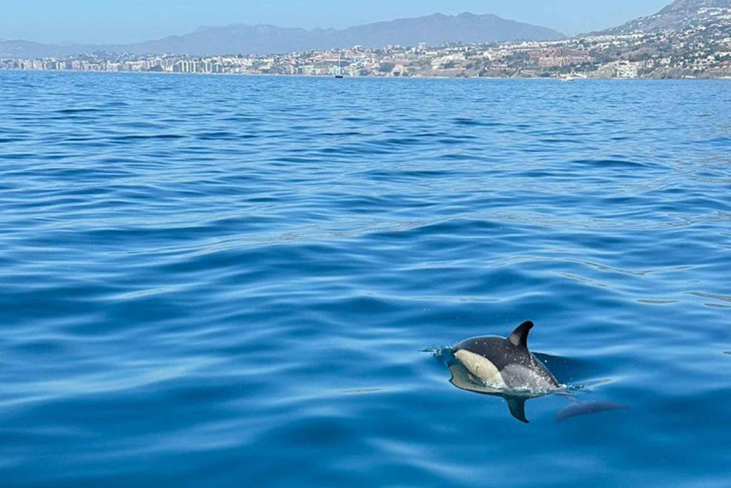 Benalmadena: Båtuthyrning utan krav på körkort