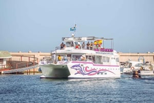 Benalmadena: Dolphin Watching Boat Tour