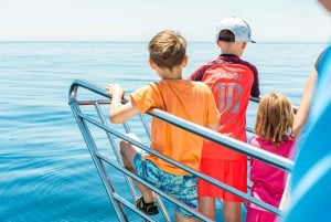 Benalmadena: Dolphin Watching Boat Tour