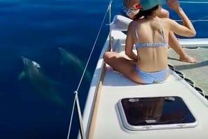 Benalmádena: Sailing & Dolphin Watching with Snacks/Drinks