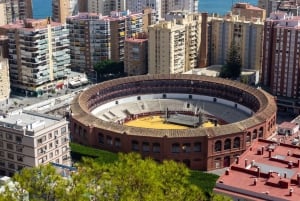 Best of Málaga: Private Walking Tour with a Local