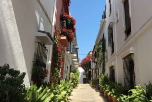 Best of Málaga: Private Walking Tour with a Local