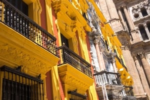 Best of Málaga: Private Walking Tour with a Local