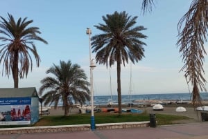Boot te huur zonder vaarbewijs in Málaga Hoofdstad, Playa del Palo