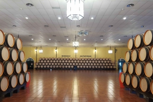 Bodegas Quitapenas: Guided Visit + Wine Tasting