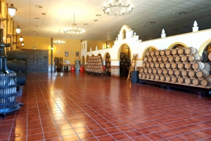 Bodegas Quitapenas: Visita Guiada + Cata de Vinos