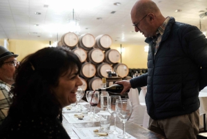 Bodegas Quitapenas: Visita Guiada + Cata de Vinos