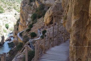 Caminito del Rey desde Málaga, Guía Oficial, Bebida y Sorteo