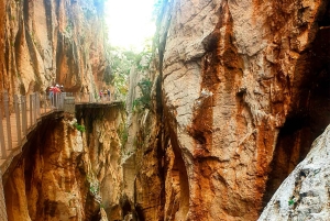 Caminito del Rey desde Málaga, Guía Oficial, Bebida y Sorteo